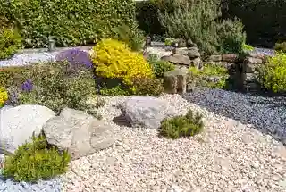 Rock Garden at Wadhwa The Haven