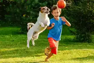 Pet’s Zone at Wadhwa The Haven